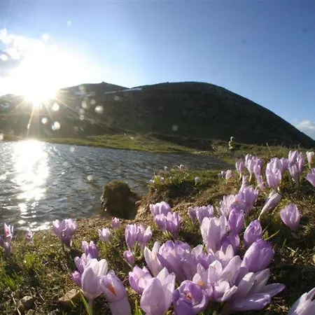 Kalypso Pensión