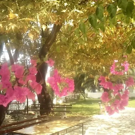 ゲストハウス Kalypso