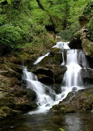 Kalypso ゲストハウス