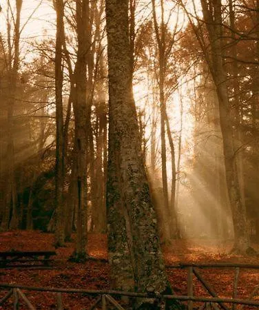 Kalypso ゲストハウス